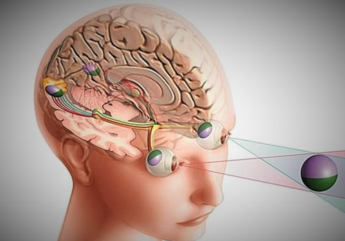 Neuro-Oftalmología